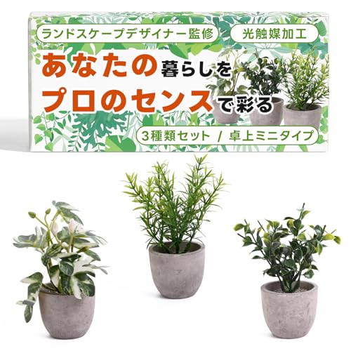 【ランドスケープデザイナー監修】空気も整える フェイクグリーン 3種セット（光触媒加工）『どんなインテリアにも馴染みやすいナチュラルなデザイン』